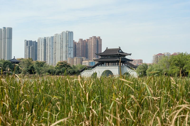 City Park Inspiration
