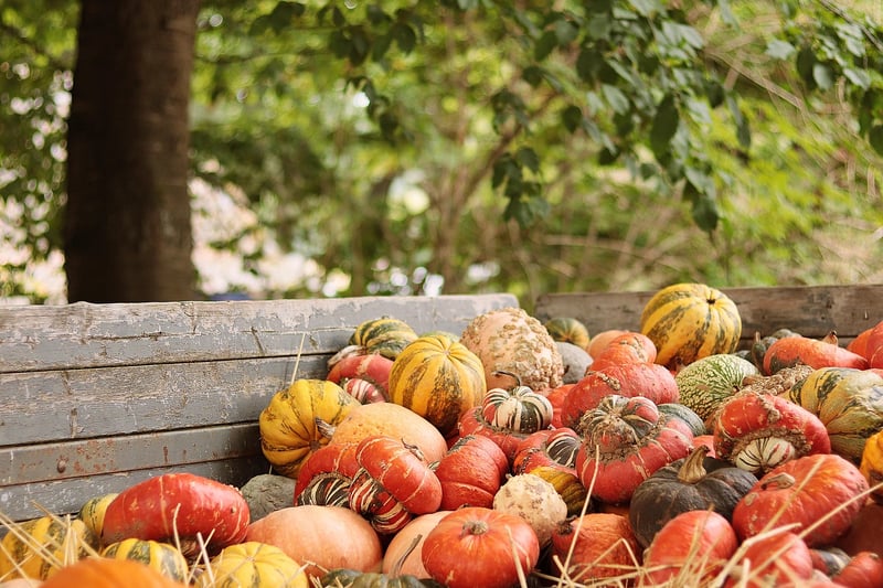 Harvest Sharing
